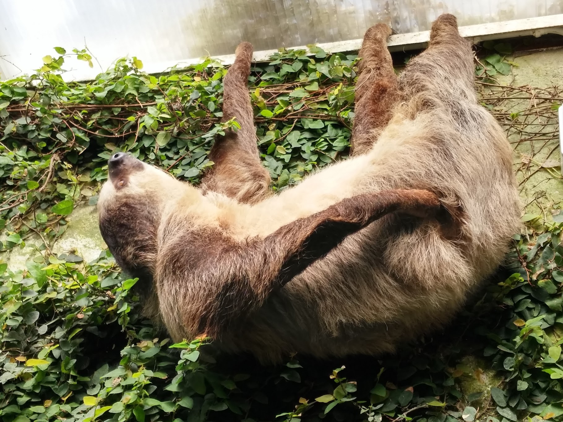 20160410_120446_HDR